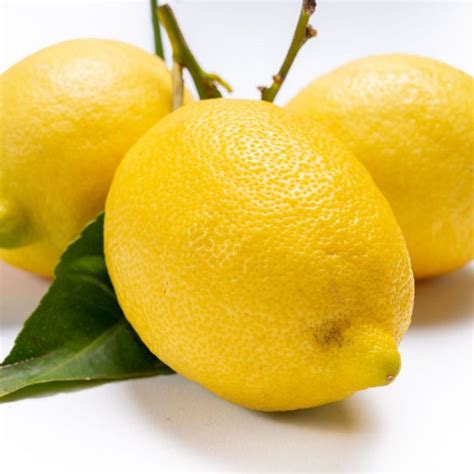 hermes limone siracusa|siracusa lemon fruit.